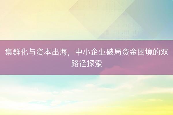 集群化与资本出海，中小企业破局资金困境的双路径探索
