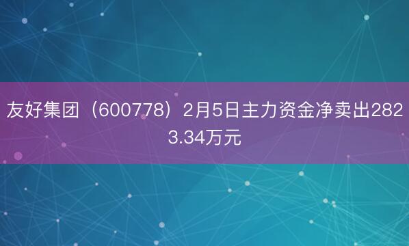 友好集团（600778）2月5日主力资金净卖出2823.34万元