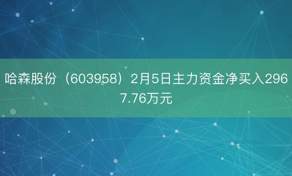 哈森股份（603958）2月5日主力资金净买入2967.76万元