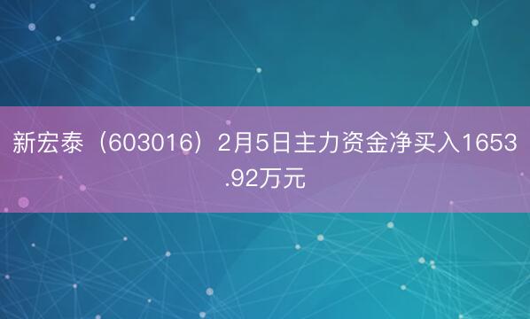 新宏泰（603016）2月5日主力资金净买入1653.92万元