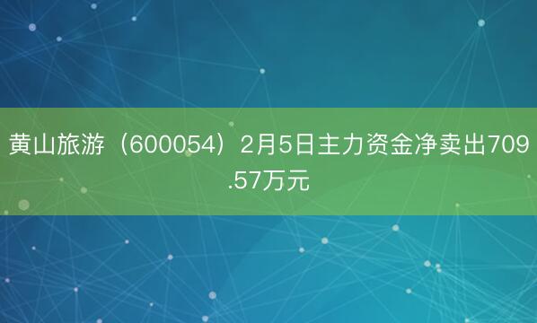 黄山旅游（600054）2月5日主力资金净卖出709.57万元