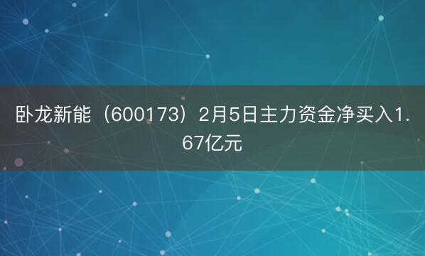 卧龙新能（600173）2月5日主力资金净买入1.67亿元