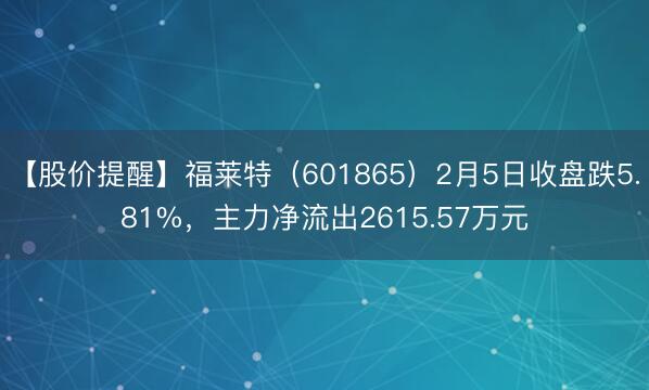 【股价提醒】福莱特（601865）2月5日收盘跌5.81%，主力净流出2615.57万元