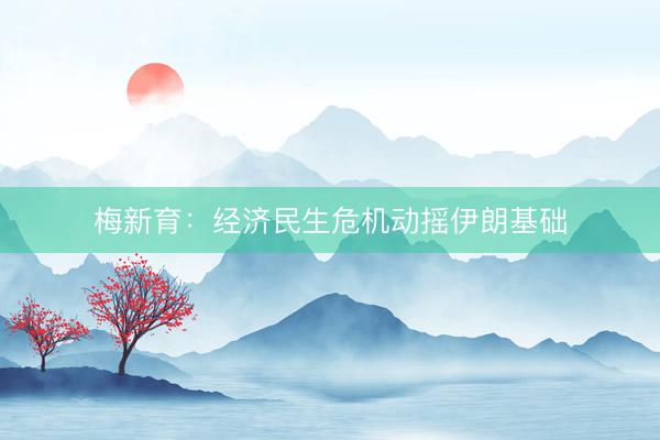 梅新育：经济民生危机动摇伊朗基础