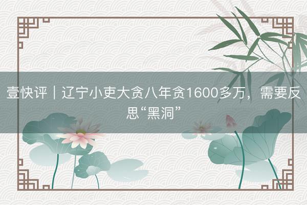 壹快评｜辽宁小吏大贪八年贪1600多万，需要反思“黑洞”