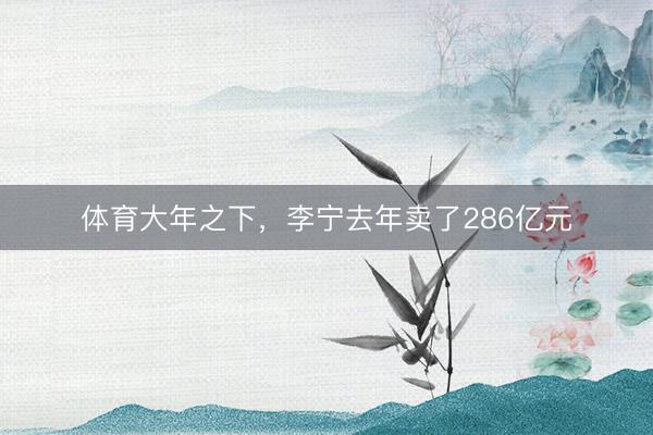 体育大年之下,李宁去年卖了286亿元