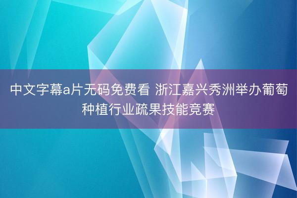 中文字幕a片无码免费看 浙江嘉兴秀洲举办葡萄种植行业疏果技能竞赛