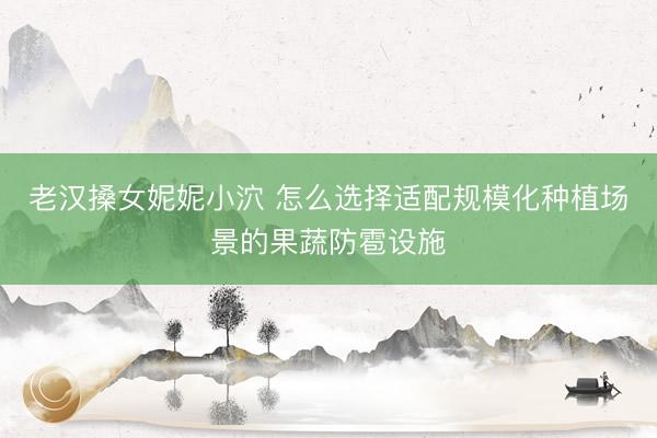 老汉搡女妮妮小泬 怎么选择适配规模化种植场景的果蔬防雹设施