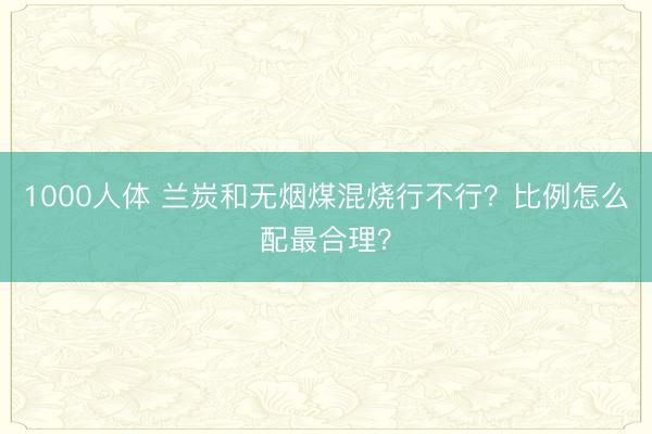 1000人体 兰炭和无烟煤混烧行不行？比例怎么配最合理？
