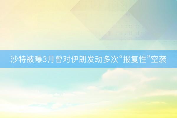 沙特被曝3月曾对伊朗发动多次“报复性”空袭