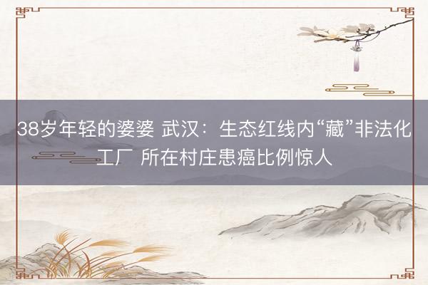 38岁年轻的婆婆 武汉:生态红线内“藏”非法化工厂 所在村庄患癌比例惊人