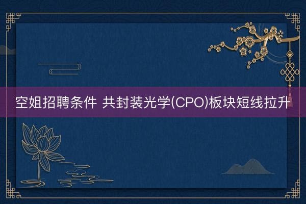 空姐招聘条件 共封装光学(CPO)板块短线拉升