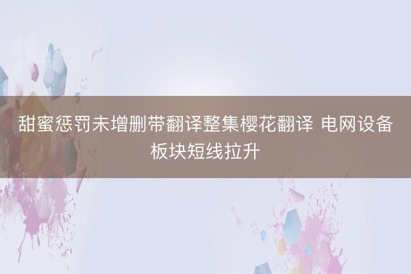 甜蜜惩罚未增删带翻译整集樱花翻译 电网设备板块短线拉升