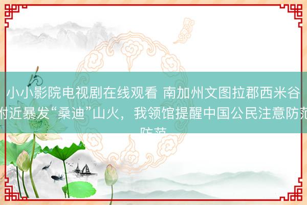 小小影院电视剧在线观看 南加州文图拉郡西米谷附近暴发“桑迪”山火，我领馆提醒中国公民注意防范