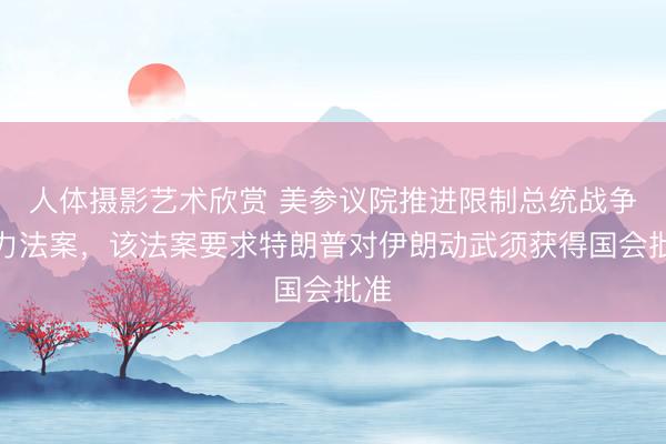 人体摄影艺术欣赏 美参议院推进限制总统战争权力法案，该法案要求特朗普对伊朗动武须获得国会批准