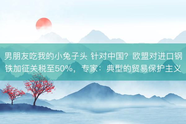 男朋友吃我的小兔子头 针对中国？欧盟对进口钢铁加征关税至50%，专家：典型的贸易保护主义