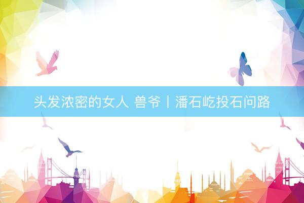 头发浓密的女人 兽爷丨潘石屹投石问路