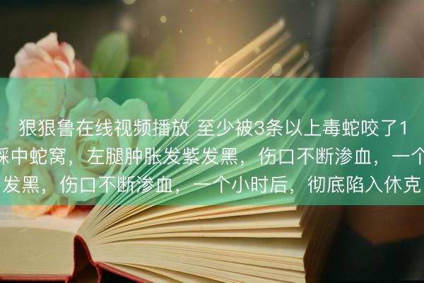 狠狠鲁在线视频播放 至少被3条以上毒蛇咬了10多口，26岁男子不慎踩中蛇窝，左腿肿胀发紫发黑，伤口不断渗血，一个小时后，彻底陷入休克