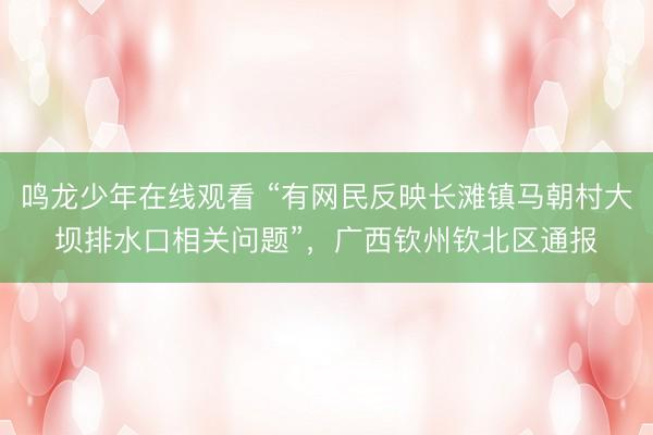 鸣龙少年在线观看 “有网民反映长滩镇马朝村大坝排水口相关问题”，<a href=