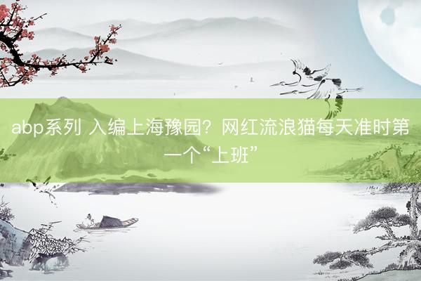 abp系列 入编上海豫园？网红流浪猫每天准时第一个“上班”