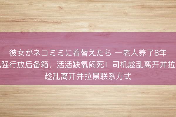 彼女がネコミミに着替えたら 一老人养了8年的猫被司机强行放后备箱，活活缺氧闷死！司机趁乱离开并拉黑联系方式
