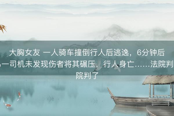 大胸女友 一人骑车撞倒行人后逃逸，6分钟后另一司机未发现伤者将其碾压，行人身亡……法院判了