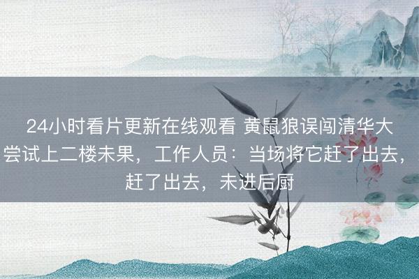 24小时看片更新在线观看 黄鼠狼误闯清华大学食堂，尝试上二楼未果，工作人员：当场将它赶了出去，未进后厨