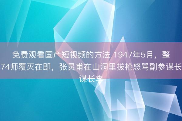 免费观看国产短视频的方法 1947年5月，整编74师覆灭在即，张灵甫在山洞里拔枪怒骂副参谋长李