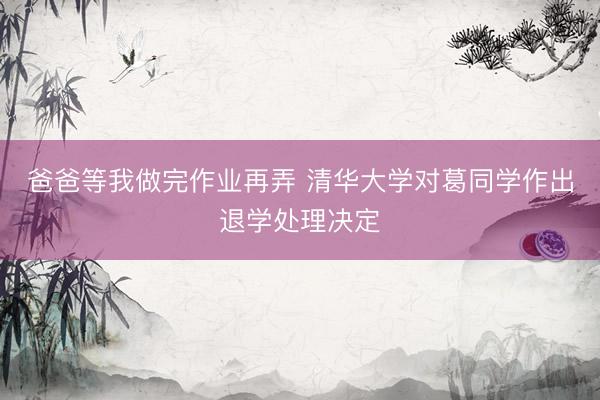 爸爸等我做完作业再弄 清华大学对葛同学作出退学处理决定