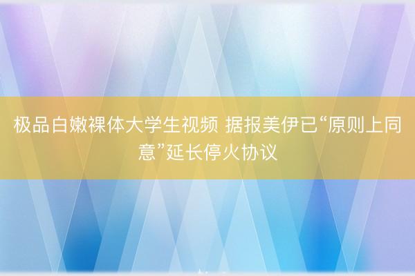 极品白嫩裸体大学生视频 据报美伊已“原则上同意”延长停火协议