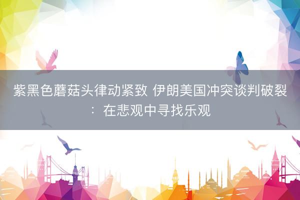 紫黑色蘑菇头律动紧致 伊朗美国冲突谈判破裂：在悲观中寻找乐观