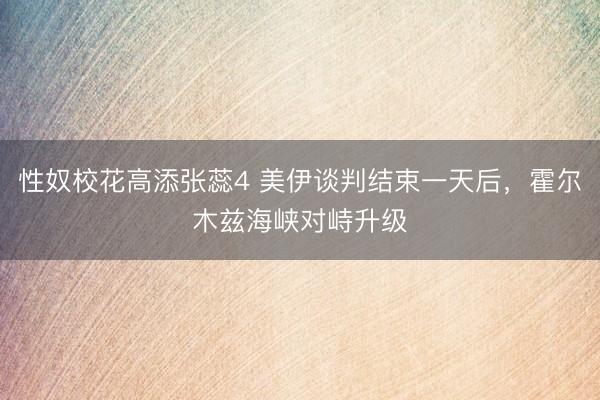 性奴校花高添张蕊4 美伊谈判结束一天后，霍尔木兹海峡对峙升级