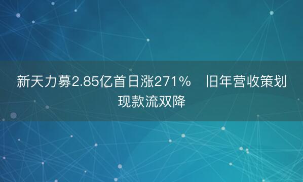 新天力募2.85亿首日涨271% 旧年营收策划现款流双降