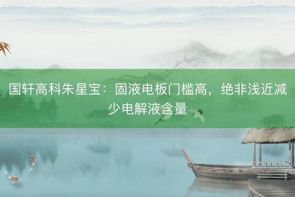 国轩高科朱星宝：固液电板门槛高，绝非浅近减少电解液含量