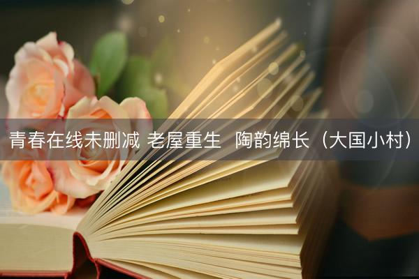 青春在线未删减 老屋重生  陶韵绵长（大国小村）