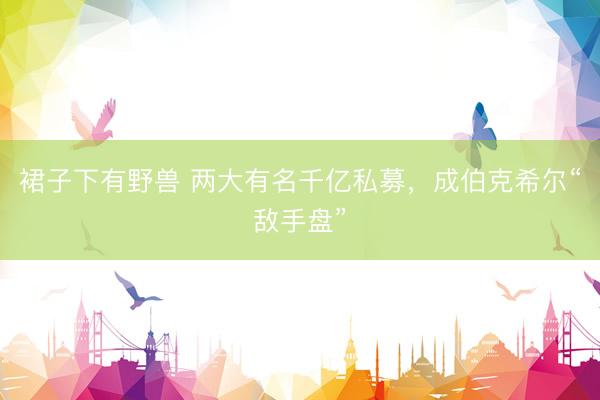 裙子下有野兽 两大有名千亿私募，成伯克希尔“敌手盘”