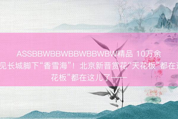 ASSBBWBBWBBWBBWBW精品 10万余株！6月再见长城脚下“香雪海”！北京新晋赏花“天花板”都在这儿了——