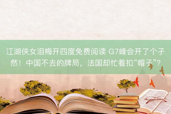 江湖侠女泪梅开四度免费阅读 G7峰会开了个孑然！中国不去的牌局，法国却忙着扣“帽子”？