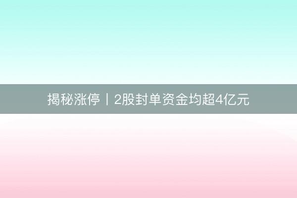 揭秘涨停丨2股封单资金均超4亿元
