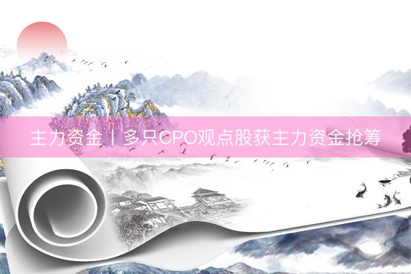 主力资金丨多只CPO观点股获主力资金抢筹