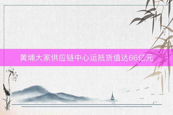 黄埔大家供应链中心运抵货值达66亿元