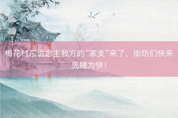 梅花村东说念主我方的“家支”来了，街坊们快来先睹为快！